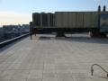 DSC03919